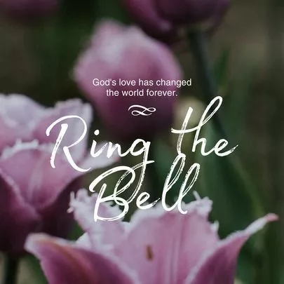 Ring the Bell 結婚相談所「4度目のデートでフラれた会員様」-6