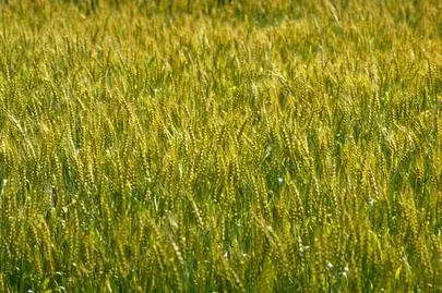 ウイン虎ノ門結婚相談所「東京で仲人型の結婚相談所で婚活するのは、年齢は関係ない?」-2