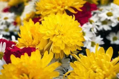 ウイン虎ノ門結婚相談所「東京で仲人型の結婚相談所で婚活するのは、年齢は関係ない?」-3