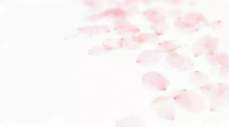 ご成婚までの道のり～ご成婚まで○○以内でした②～