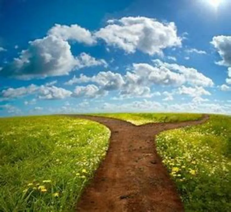 コロナ禍の婚活で明暗を分けたことは