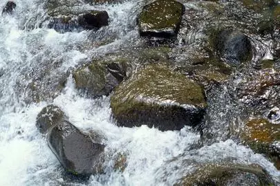 ウイン虎ノ門結婚相談所「婚活は、自分の態度や行動が、変われば、人生がかわります!」-2