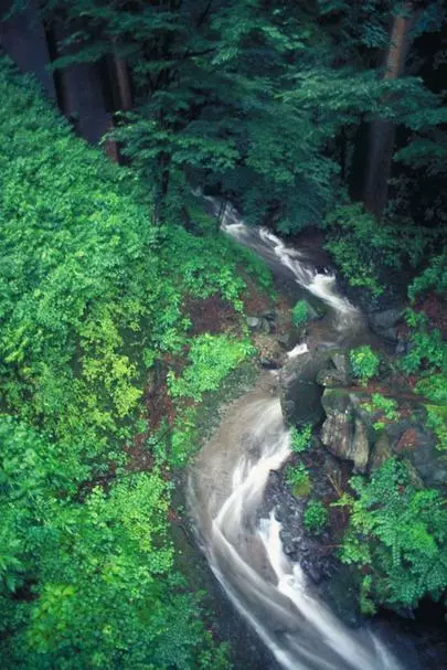 ウイン虎ノ門結婚相談所「婚活は、自分の態度や行動が、変われば、人生がかわります!」-3