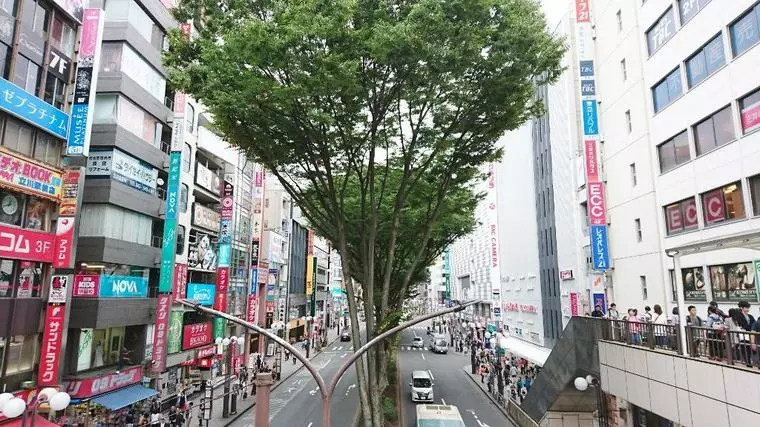 立川まで行ってきました