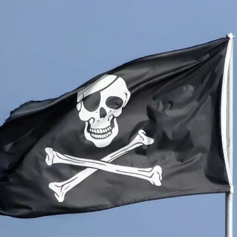 『海賊王になりたい彼』の取扱説明書！