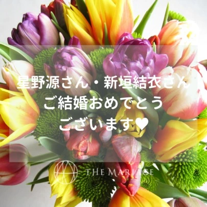 テマリアージュ「新垣結衣さん星野源さんに学ぶ！任天堂婚スピード婚のススメ」-2