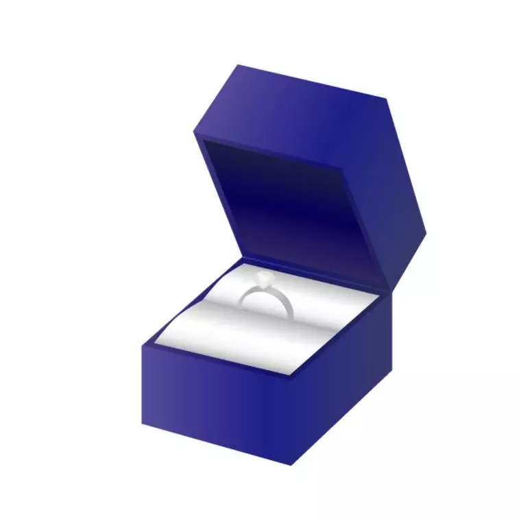 舞浜のテーマパークでプロポーズ受けました！