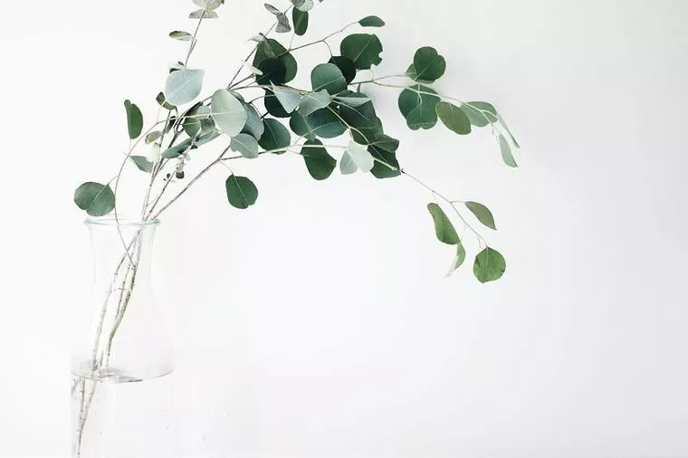 捨てるのはモノだけじゃない。前向きな婚活をするために