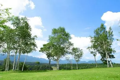 ウイン虎ノ門結婚相談所「東京で、婚活する為に、1つでも若いうちに、目標をたてる!」-2