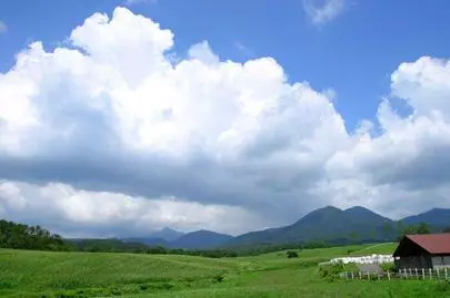 ウイン虎ノ門結婚相談所「東京で、婚活する為に、1つでも若いうちに、目標をたてる!」-3