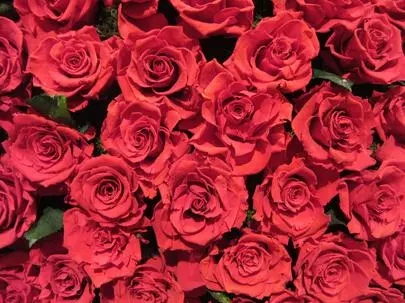 グッドラックステージ「「June　Bride」幸せになる花嫁」-2