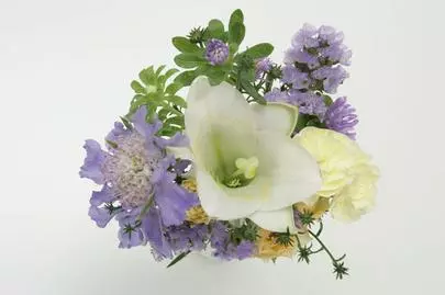 ウイン虎ノ門結婚相談所「母親は、いつまでも、食事を作ってくれないから早く結婚して」-2
