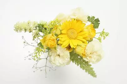 ウイン虎ノ門結婚相談所「お見合いを東京でする時は、ルールやマナーを守らないと駄目」-3