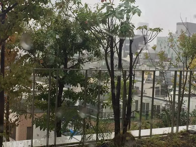 １日でも早く入会したいから、台風関係なし！