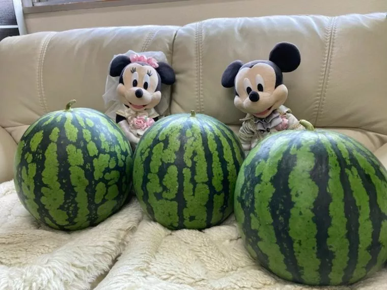 群馬県の結婚相談所あるある。。。