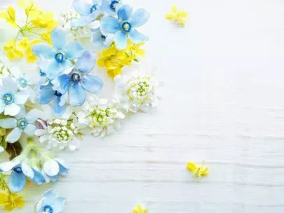 浜松 結婚相談所 CAN mariage 浜松店「愛情と幸せの種類💕」-4