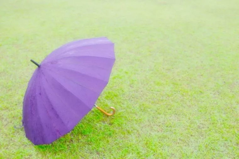 婚活中の人は注意、雨がつづくとメンタルが落ちます