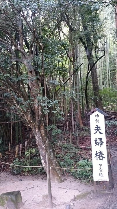 良縁コンシェルジュ町田「出雲大社を参拝したら八重垣神社へ！」-4