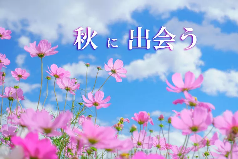 婚活を制するために秋に出会い冬に成就するイメージを持つ