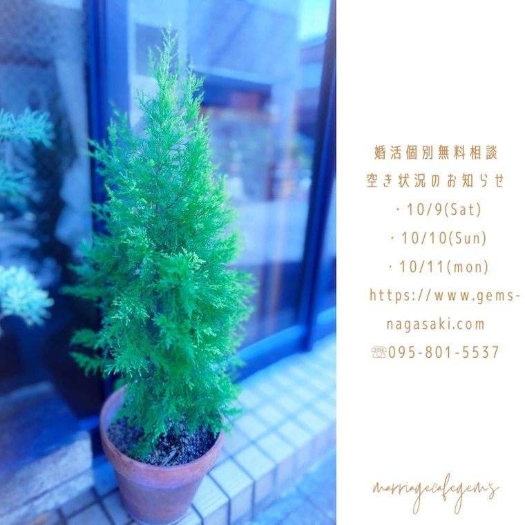 今週末の婚活個別相談会空き状況お知らせ✨⁡