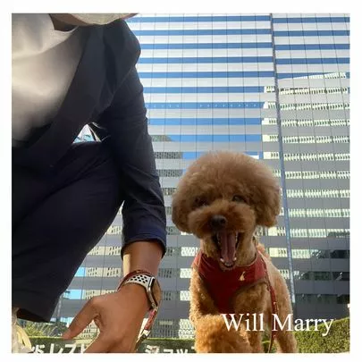 Will Marry（ウィルマリー）「ご紹介のWill Marry！」-2