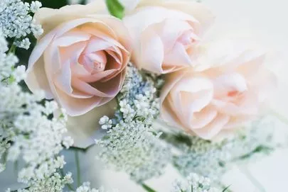 Kotopuro（寿プロデュース）「仮交際から真剣交際　3カ月間の気持ちの変化を解説」-2