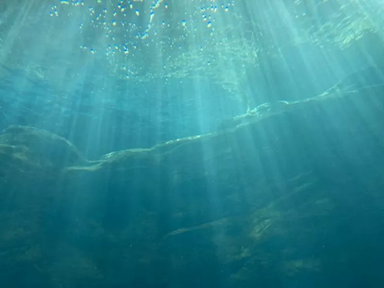 デートに最適！神戸に水族館　átoa（アトア）オープン✨