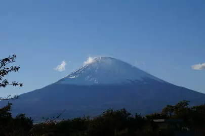 ウイン虎ノ門結婚相談所「結婚したいと思った時が婚期です! 年齢は、関係ないの!?」-3