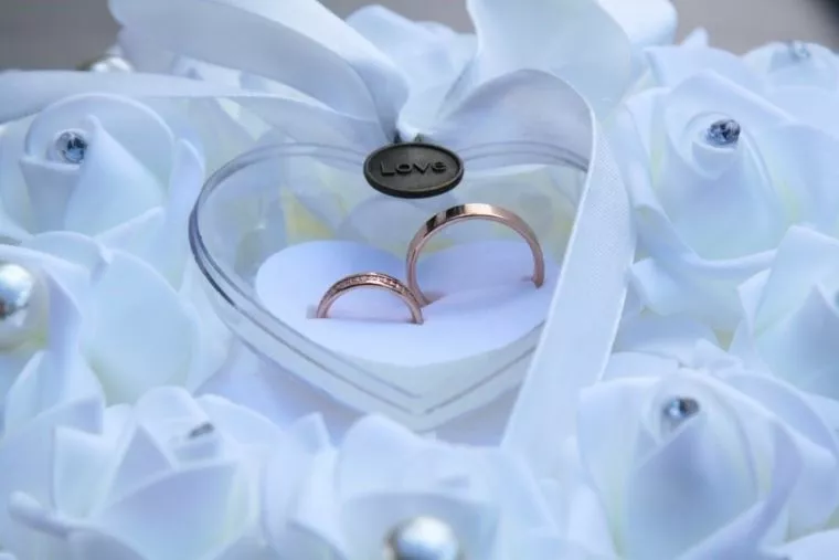佐々木蔵之介さんが結婚！ネット上ではロスを訴える声多数