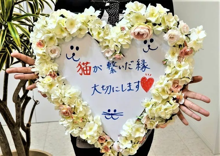 猫が繋いだご縁を大切にします💗