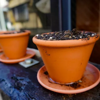 マリッジ カフェ　gem's「【結婚相談所】真剣交際中のデートの素敵なエピソード✨」-2