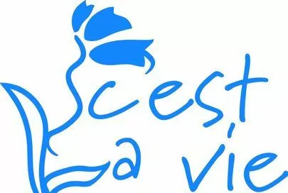 婚活サロン C'est la vie(セラヴィ)「いい夫婦の日　　芸能人夫婦」-6