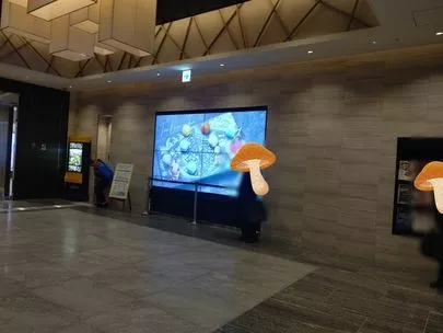 結婚相談所カインド「三重県から来たお相手をどこに連れて行ったか？」-2