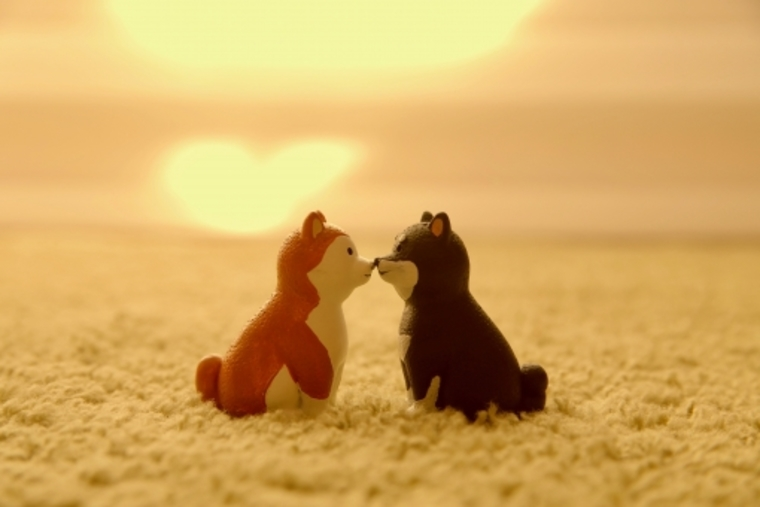 年内の真剣交際、ラッシュです。