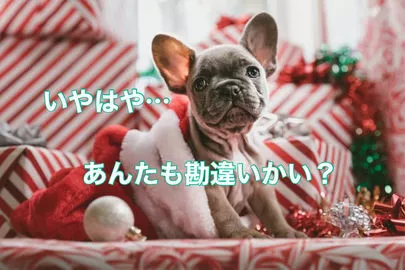 ONE THEORY(ワン セオリー)「 勘違いしてない？結婚相談所の恋愛について」-2
