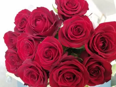 Applause（アプローズ）「出会いから５か月で成婚退会💓」-2