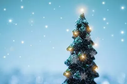 ONE THEORY(ワン セオリー)「 ＼クリスマスイヴの予定がありません／」-2