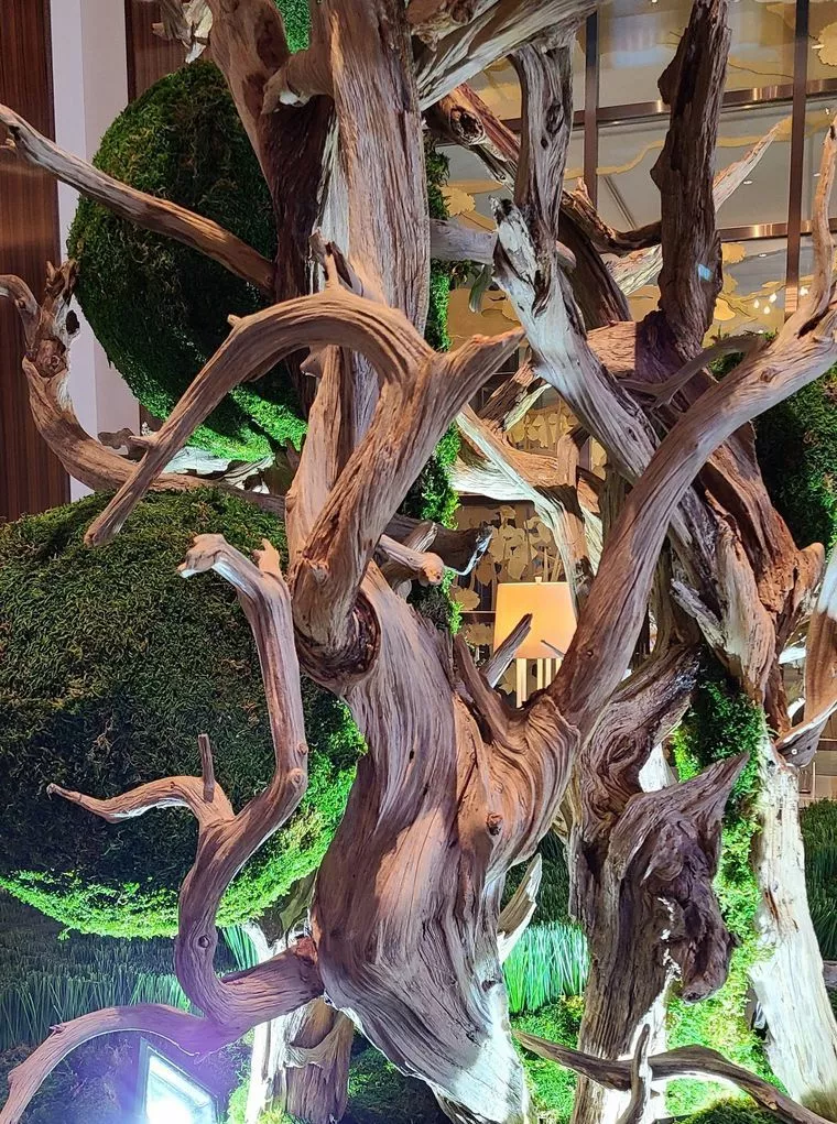 朝一で、本日は初お見合いの会員さまと現地面談を実施！