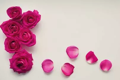 プラスKOU「婚活はじめて結婚前に聞いておく条件やチェックリスト」-2