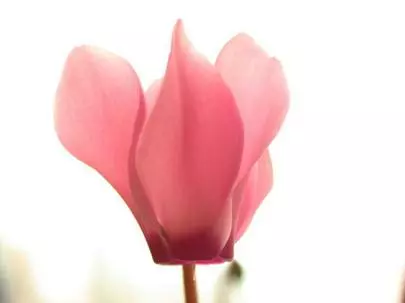 ウイン虎ノ門結婚相談所「感情をコントロールして!?」-3
