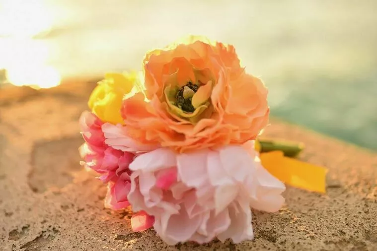 穏やかな日常生活こそが結婚の幸せです♡