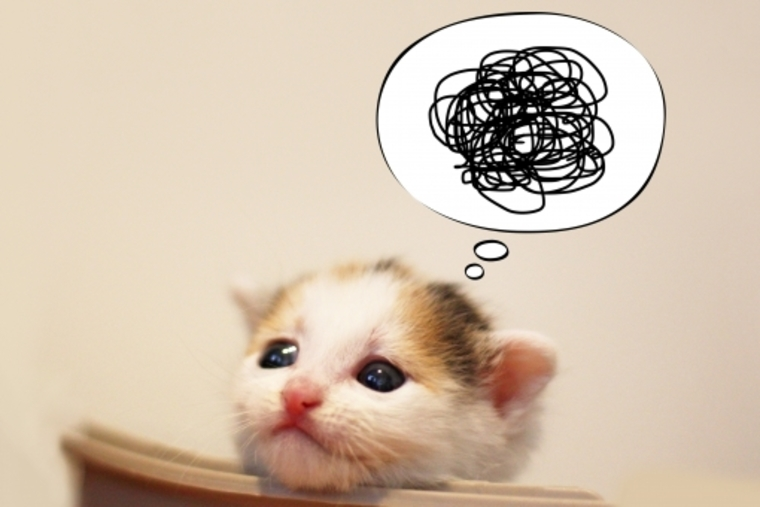 思考しだいなんだ・・・？