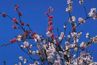 ウイン虎ノ門結婚相談所「YouTubeお見合い結婚している90パーセントが幸せに」-3