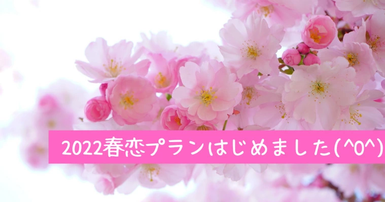 マリッジカフェgem's【新プラン発表❗】春恋プラン🌸