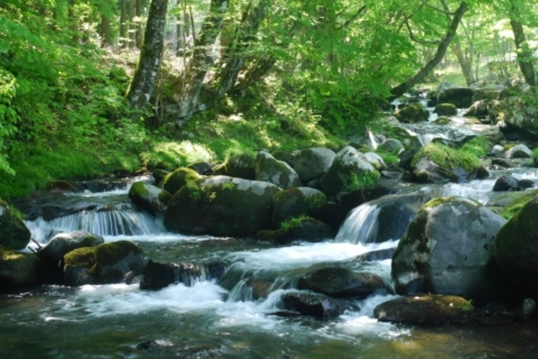 立ち止まるより、進み続ける！