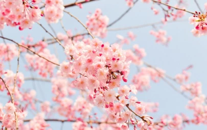 Kotopuro（寿プロデュース）「お見合いが盛り上がる会話とは」-2