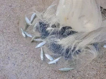ウイン虎ノ門結婚相談所「話を盛り上げるには!?」-3