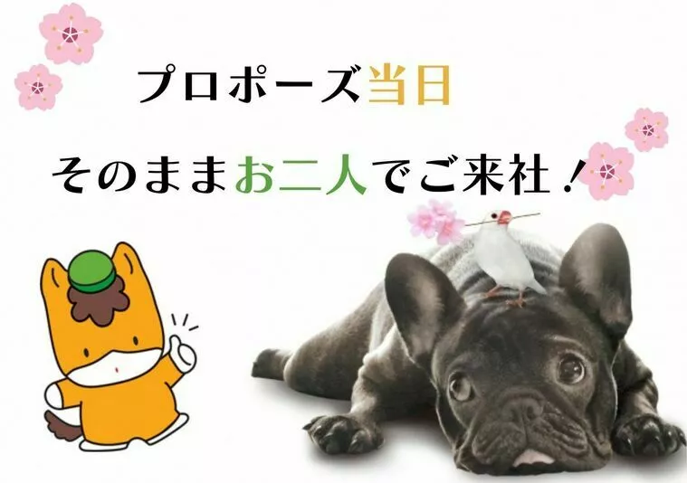 プロポーズ後にお二人でご来社！