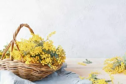 みずたま 婚活salon「GWデートを成功させるための５つのポイント」-2