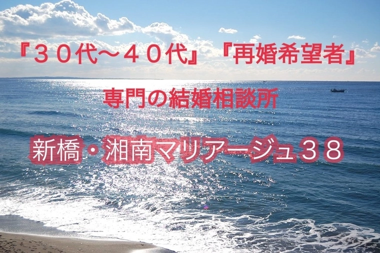 湘南→新橋
